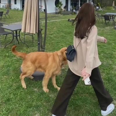 腥红血滴